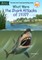 What Were the Shark Attacks of 1916?