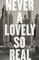 Never a Lovely So Real: The Life and Work of Nelson Algren