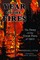 Year of the Fire
