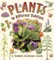 Plants in Different Habitats