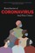 Racialization of Coronavirus and Hate Crimes