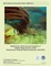 Biodiversity and Ecosystem Function of Shallow Bank Systems within Florida Keys National Marine Sanctuary (FKNMS)
