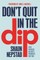 Don't Quit in the Dip