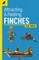 Attracting & Feeding Finches
