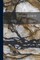 Seismology
