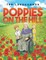 The Poppies on the Hill