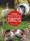 Turkeys