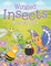 Winged Insects (A Coloring Book)