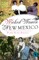 Wicked Women of New Mexico