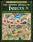 Insect Seek-And-Find Maze Challenge