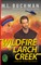 Wildfire at Larch Creek