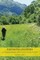Thinking Systems