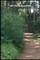 Off the Beaten Path