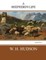 A Shepherd's Life