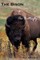 The Bison and the Butterfly