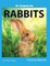 Rabbits