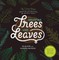 Drawing Trees and Leaves