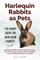 Harlequin Rabbits as Pets