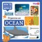 Organize an Ocean