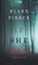 If She Ran (A Kate Wise Mystery-Book 3)