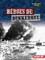 HÃ©roes de Dunkerque (Heroes of Dunkirk)