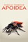 Apoidea