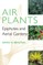 Air Plants