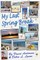 My Last Spring Break