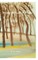 The words through the trees