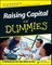 Raising Capital For Dummies