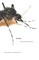 Mosquito