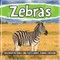 Zebras