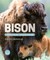 Bison