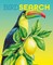 Birdsearch
