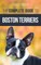 The Complete Guide to Boston Terriers