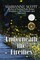 Underneath the Fireflies