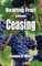 Bearing Fruit Without Ceasing