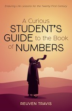 A Curious Student's Guide to the Book of Numbers A Curious Student's Guide to the Book of Numbers
