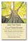And the Trees Clap Their Hands