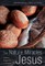 The Nature Miracles of Jesus