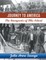 Journey to America The Immigrants of Ellis Island