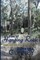 Road to Hanging Rock