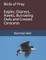 Birds of Prey