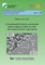 In situ generated Ã-Yb&#8322;Si&#8322;O&#8327; environmental barrier coatings to protect non-oxide silicon-based ceramics in gas turbines
