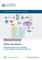 Phosphoproteomics Analysis of the Systemin Signaling Pathway