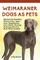 Weimaraner Dogs as Pets