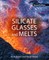 Silicate Glasses and Melts