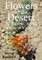 Flowers in the Desert