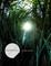 Preternatural