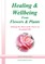 Healing and Wellbeing From Plants and Flowers